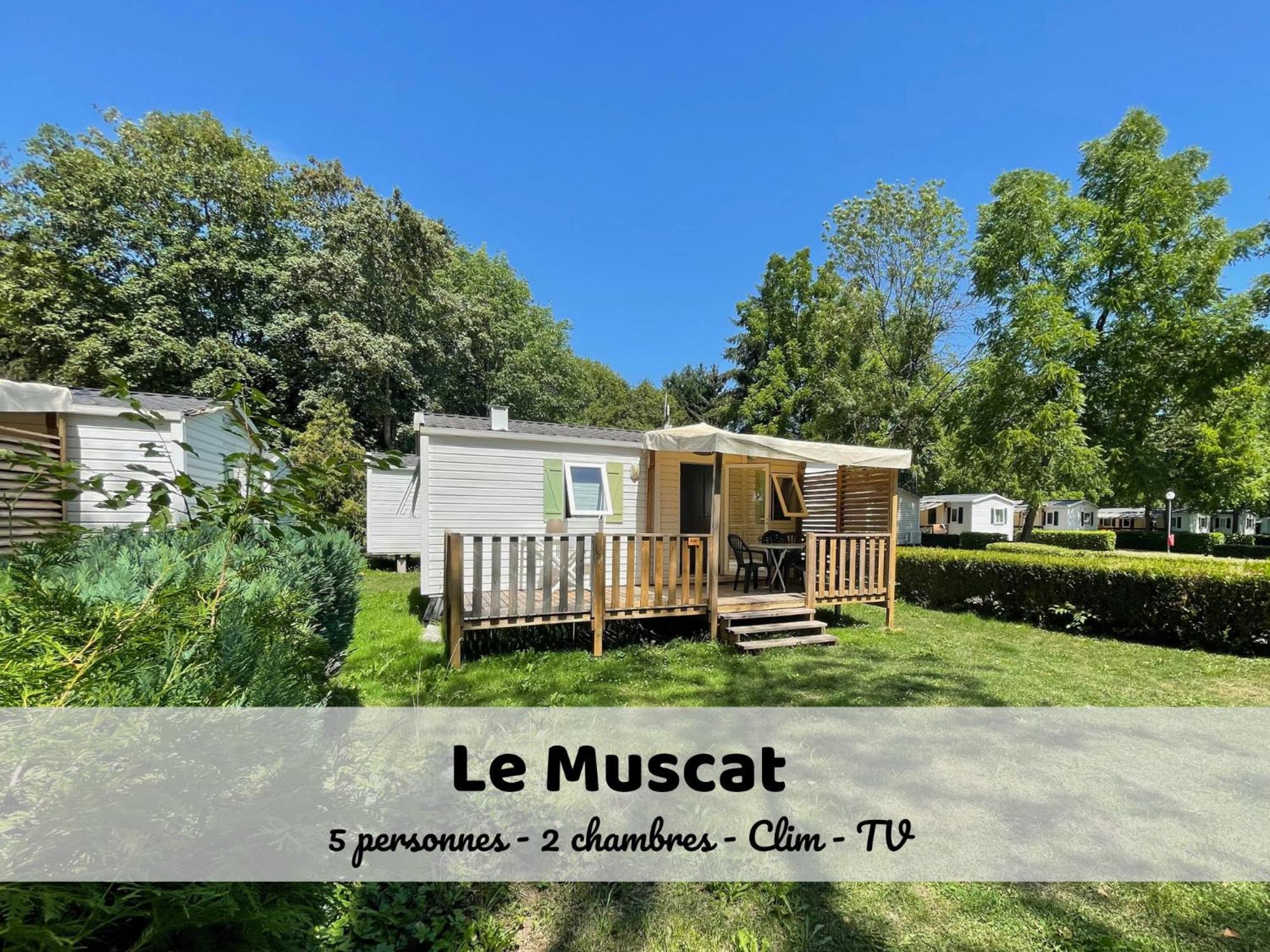 Le Muscat - Bungalow Pour 5 - Tv - Clim Boofzheim Номер фото